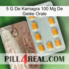 5 G De Kamagra 100 Mg De Gelée Orale new13